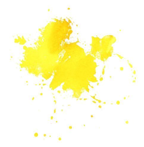 Image de Jeunesse - Méditation avec son toutou